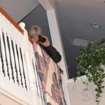 Cambria_CN_0037 (November 06, 2015)